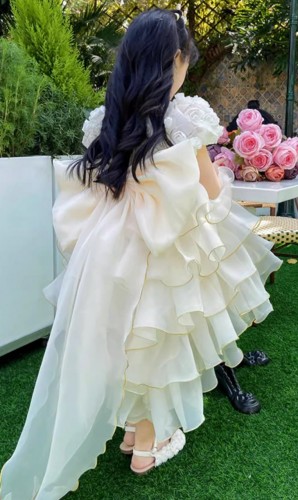 春秋女童蛋糕公主裙 / 女童蓬蓬裙 / 演出服